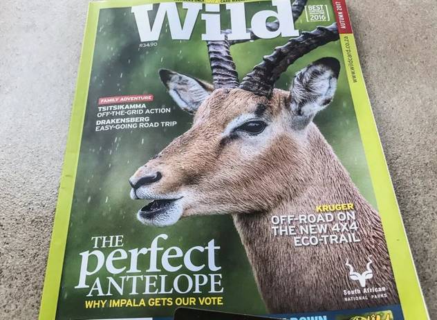 The Wild Card Magazine